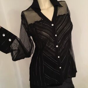 Carina fancy button down